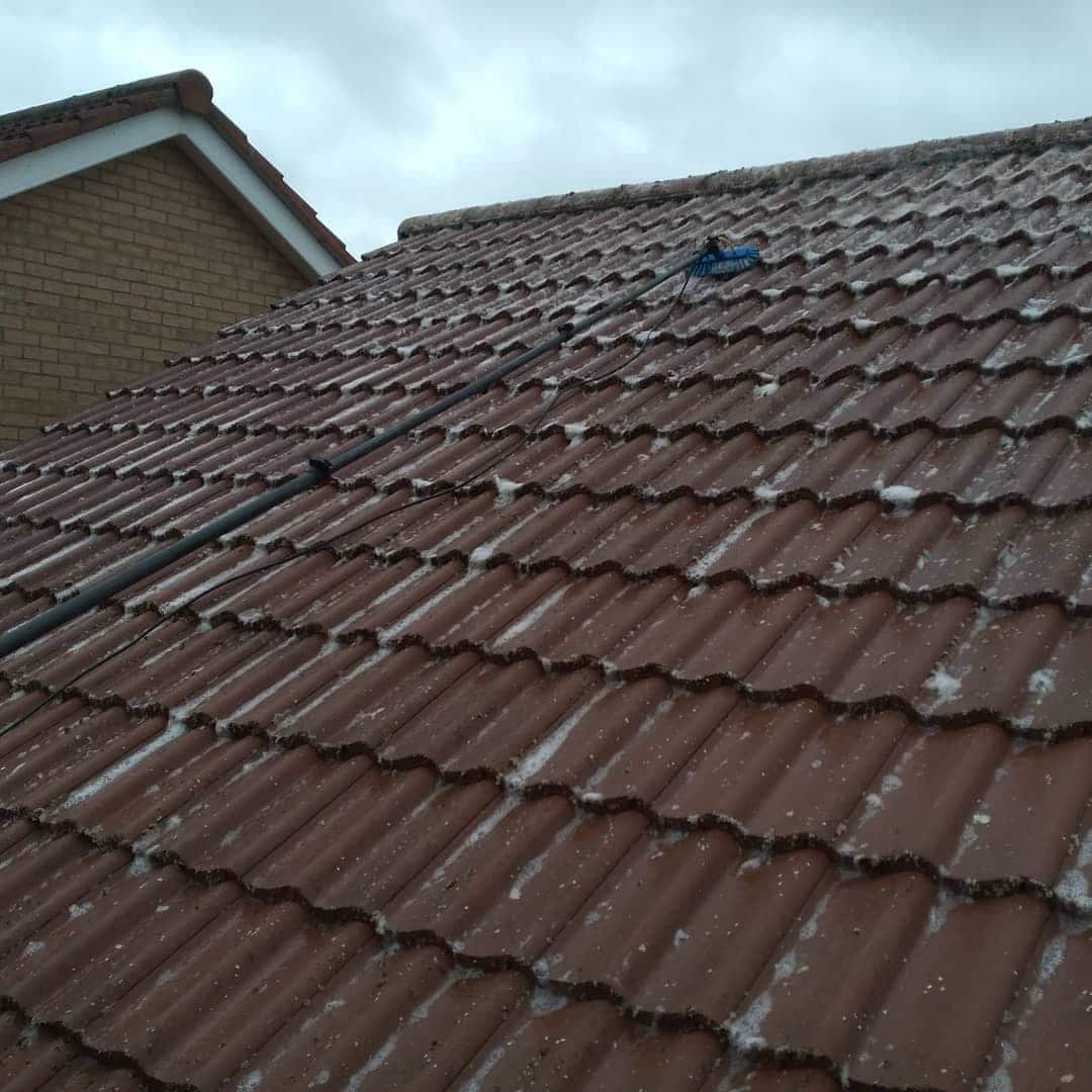 Chemical Roof Cleaning