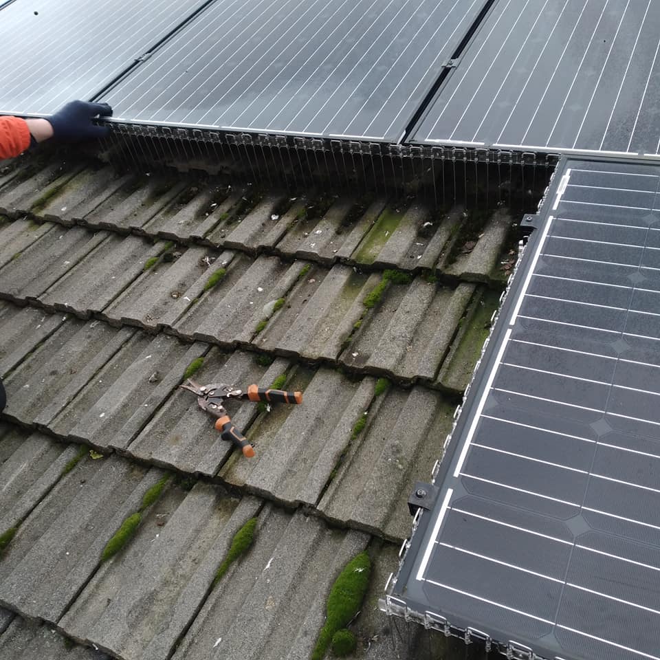 pigeon proof solar panels